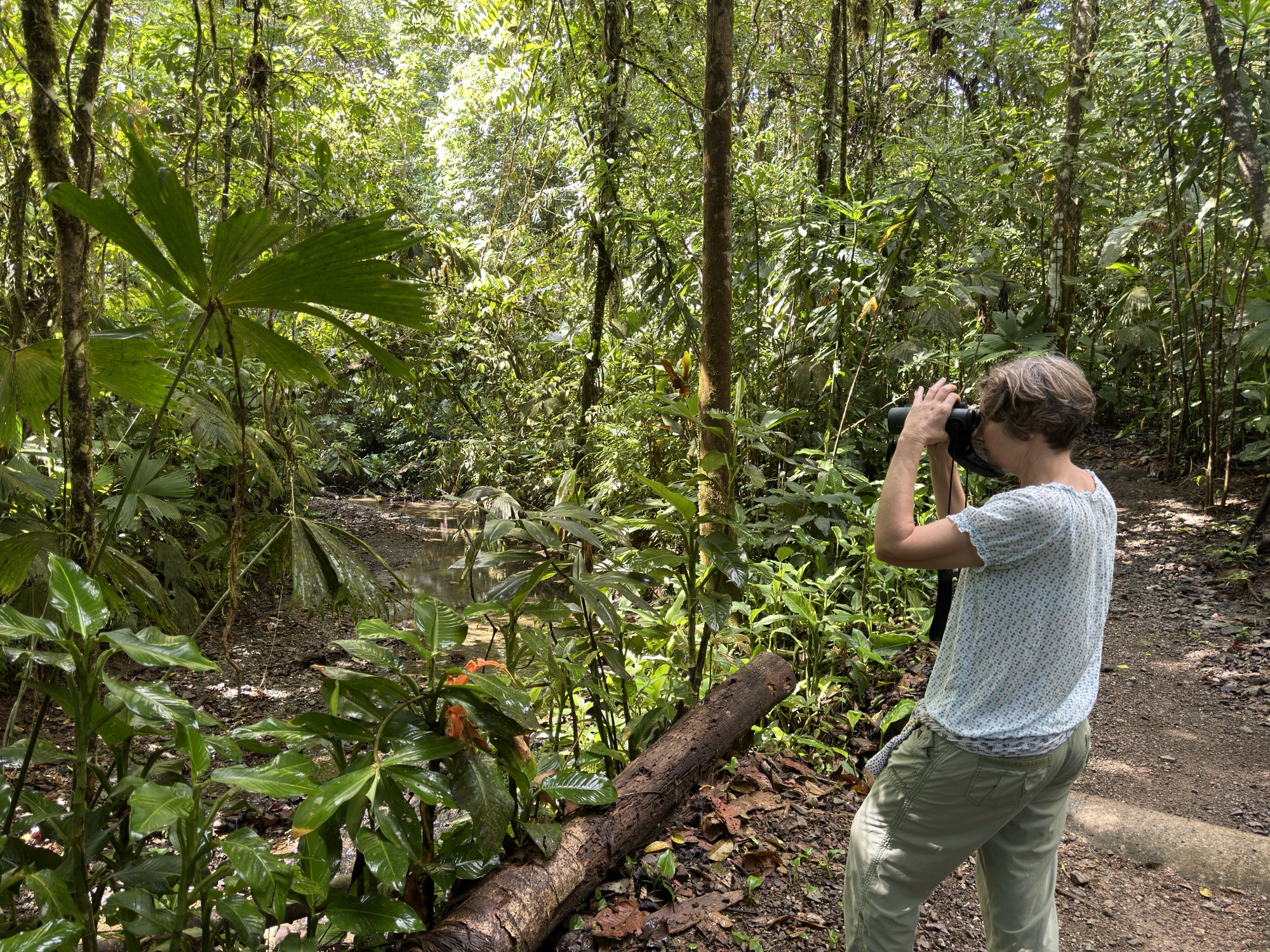 Day 13: 26th Feb 2024 – Equinas Rainforest Lodge