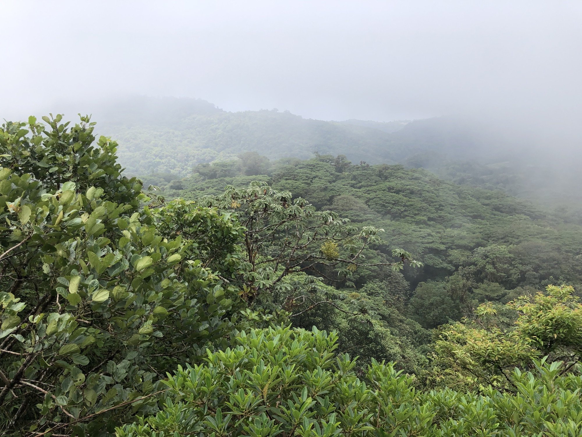Day 27: 11th Mar 2024 – Monteverde -> Bahia de Salinas